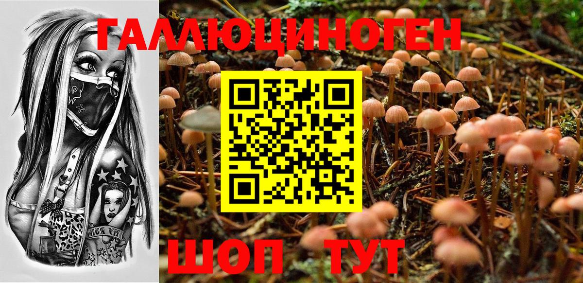 Нерюнгри  Псилоцибиновые грибы ЛСД  Вход с VPN 